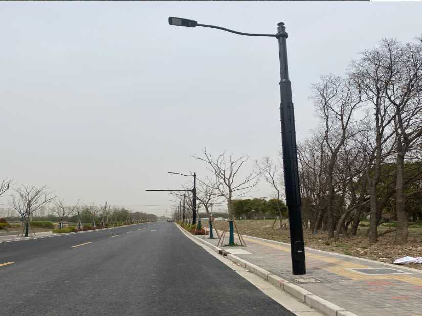 永丰县上海综合杆 太阳能路灯工程